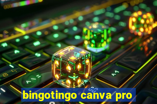 bingotingo canva pro